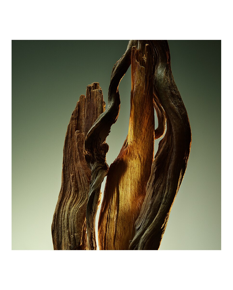 Man Wood Essence Eau de Parfum 7