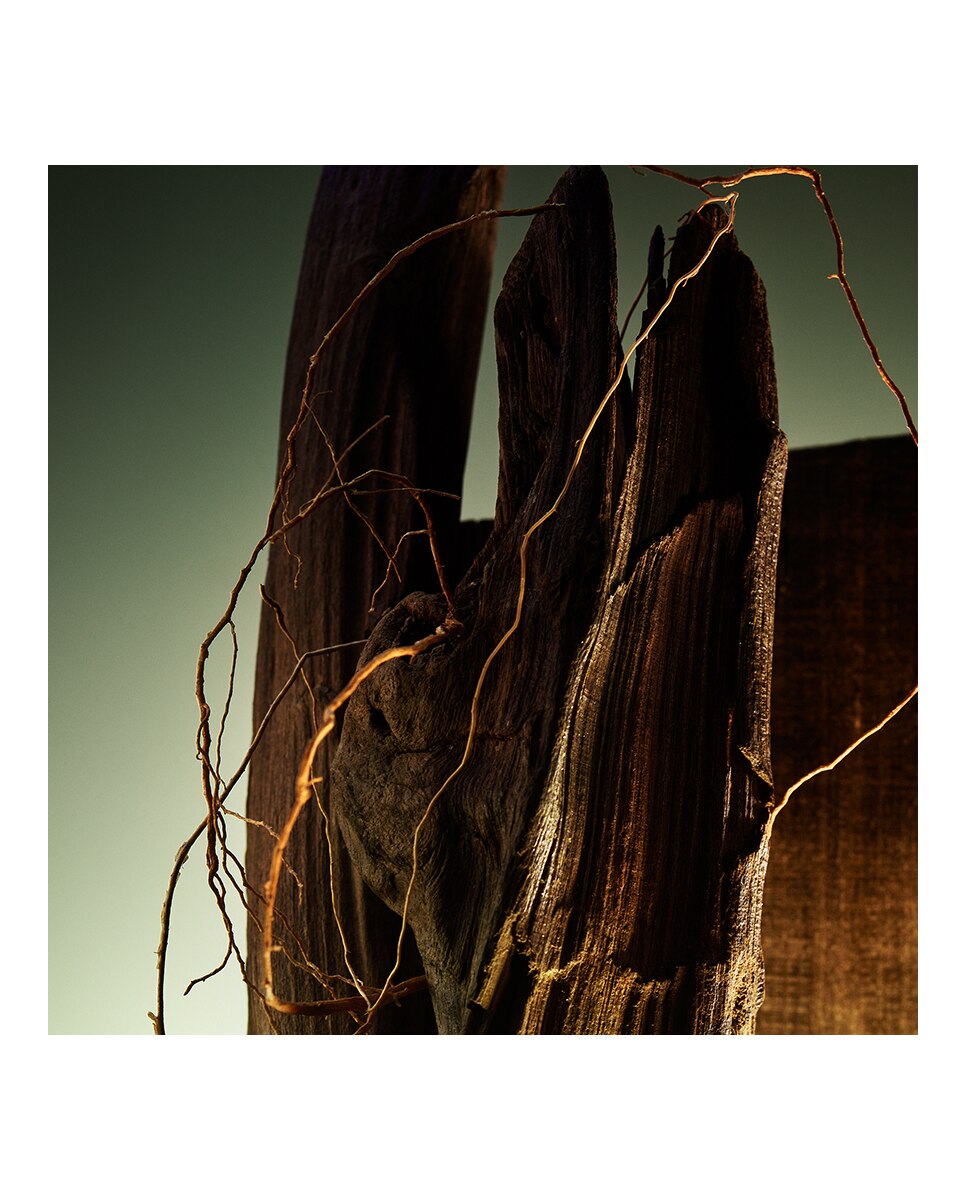 Man Wood Essence Eau de Parfum 8