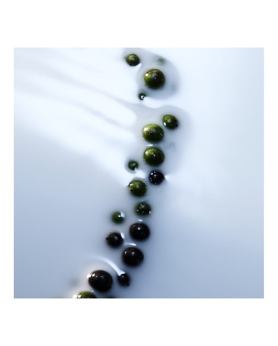 Absolu de Parfum Blanche 3