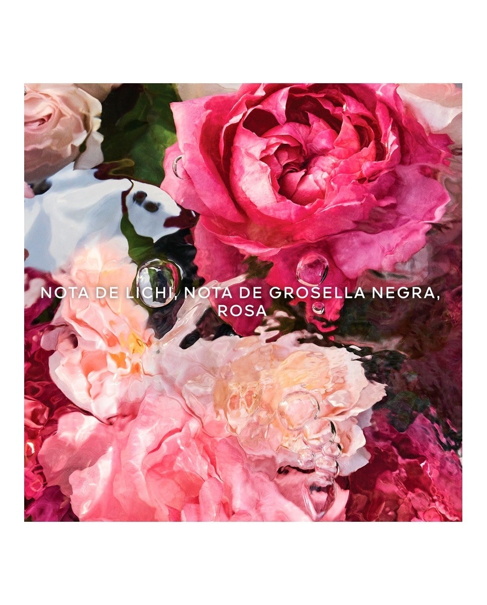 Creme de Mãos Aqua Allegoria Rosa Rossa 4