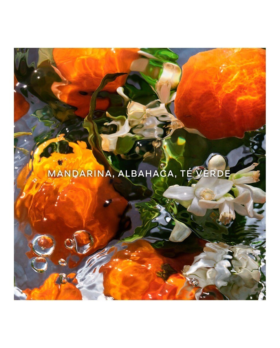Creme de Mãos Aqua Allegoria Mandarine Basilic 4