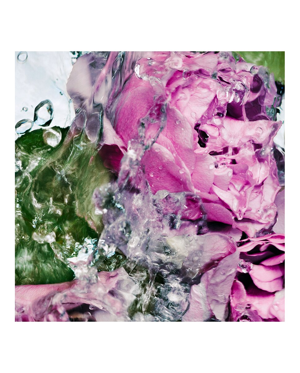 Creme para Mãos Lost Rose 4