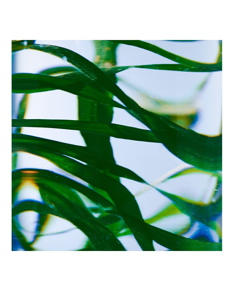 Creme para mãos Vetyver 4