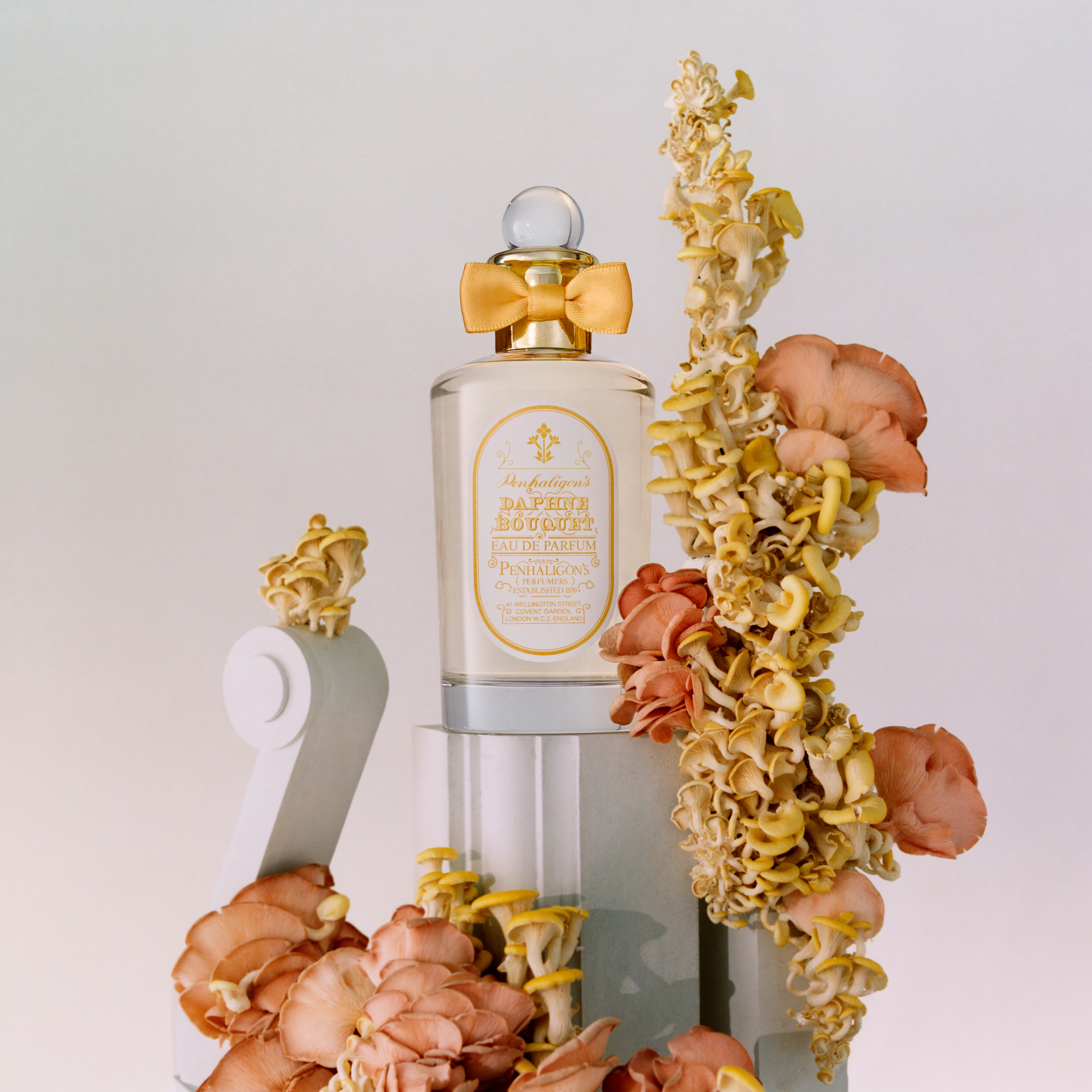Daphne Bouquet Eau de Parfum 5