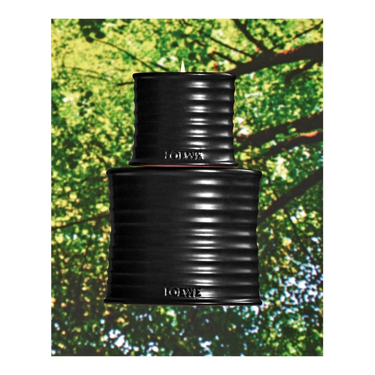 Vela Aromática Palo Santo M 5