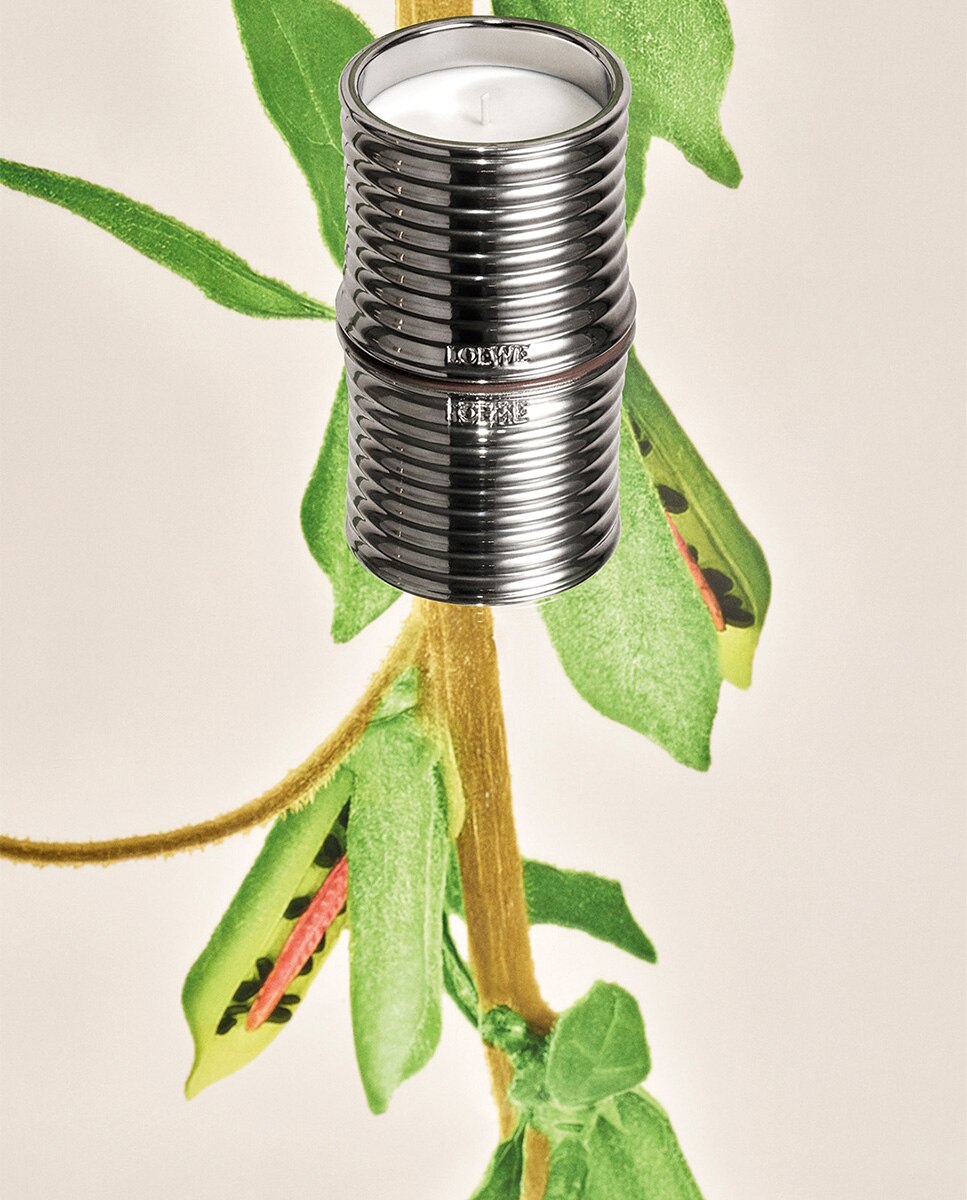 Vela Perfumada Black Sesame Midi 4