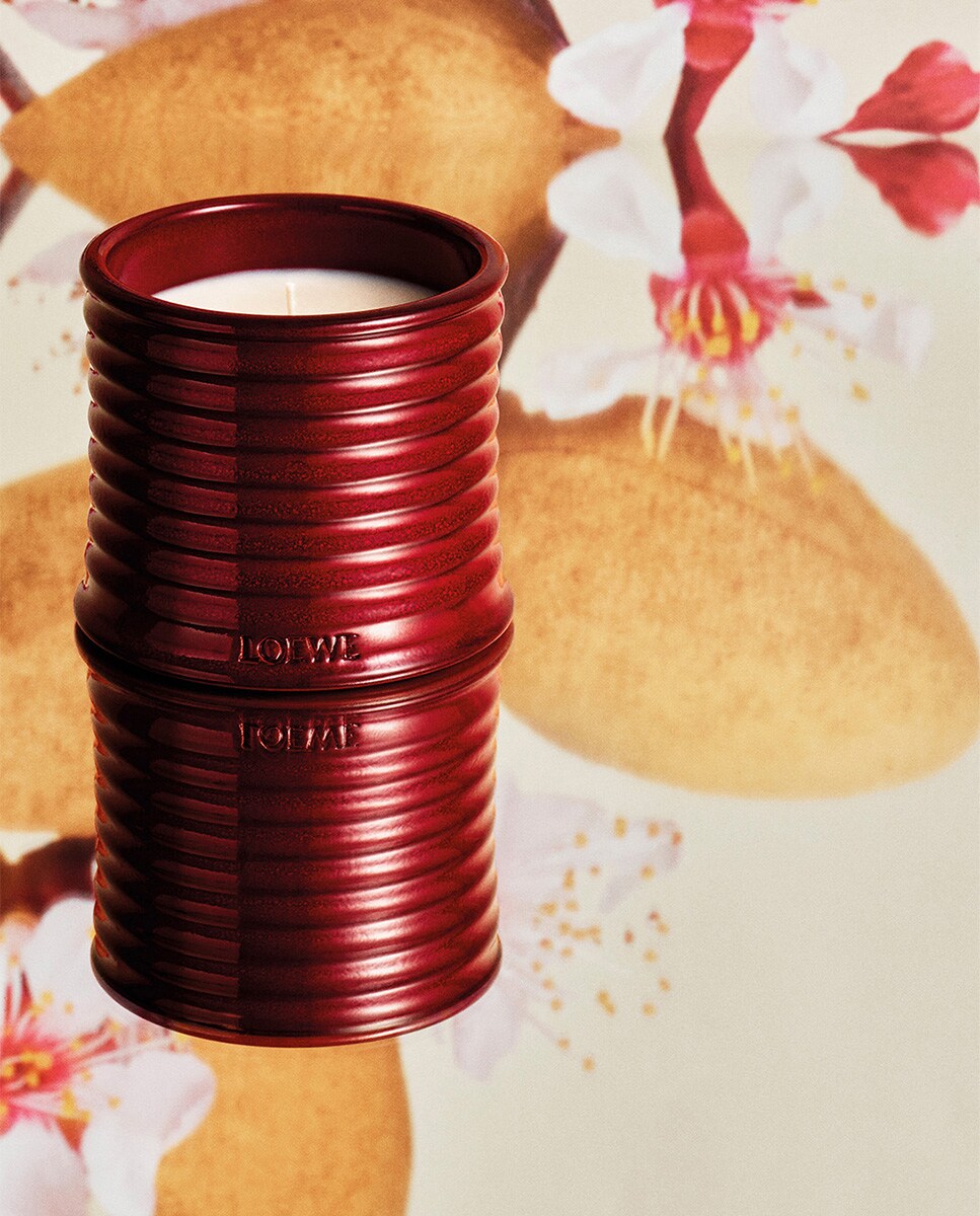 Vela Perfumada Sweet Almond Midi 4