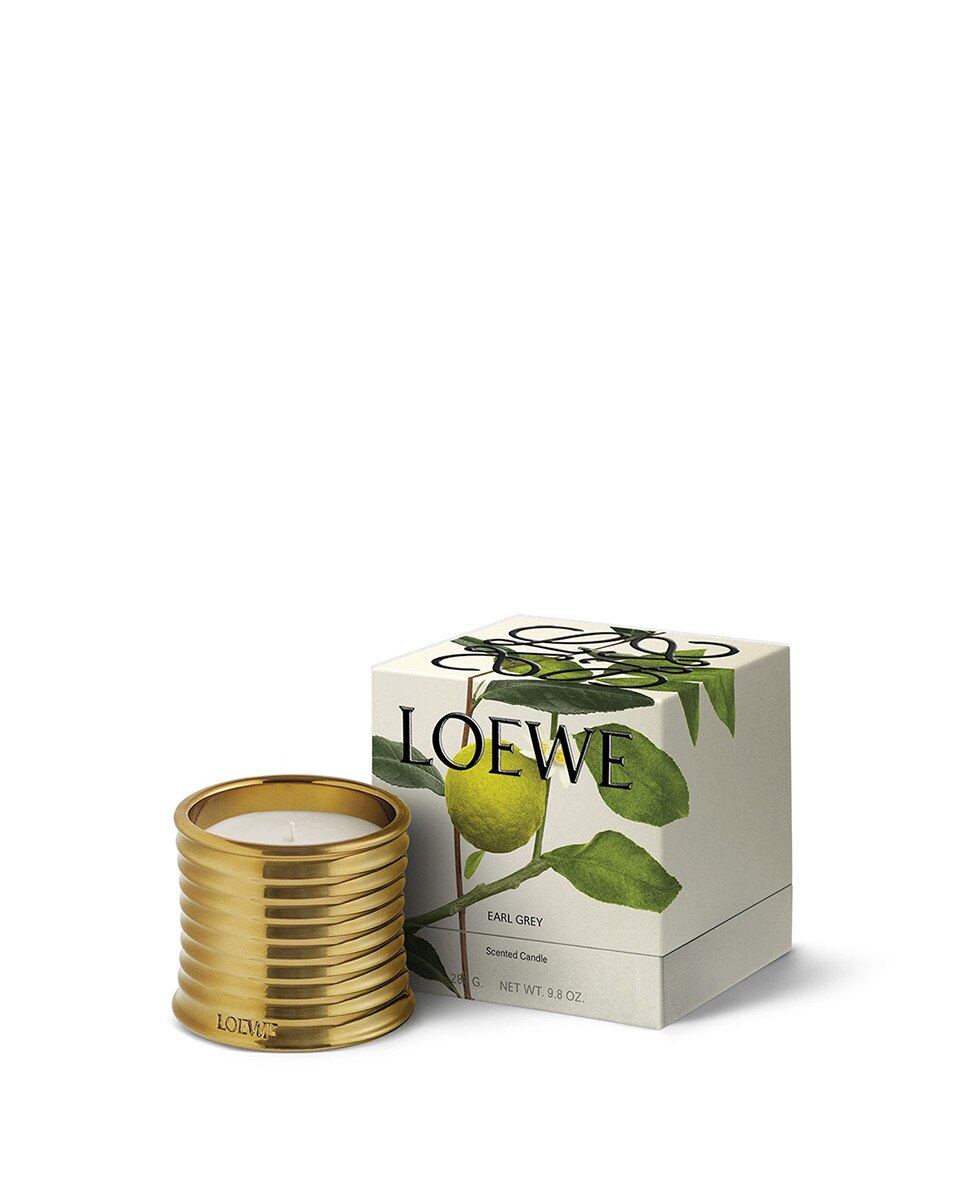 Vela Perfumada Earl Grey Midi 2