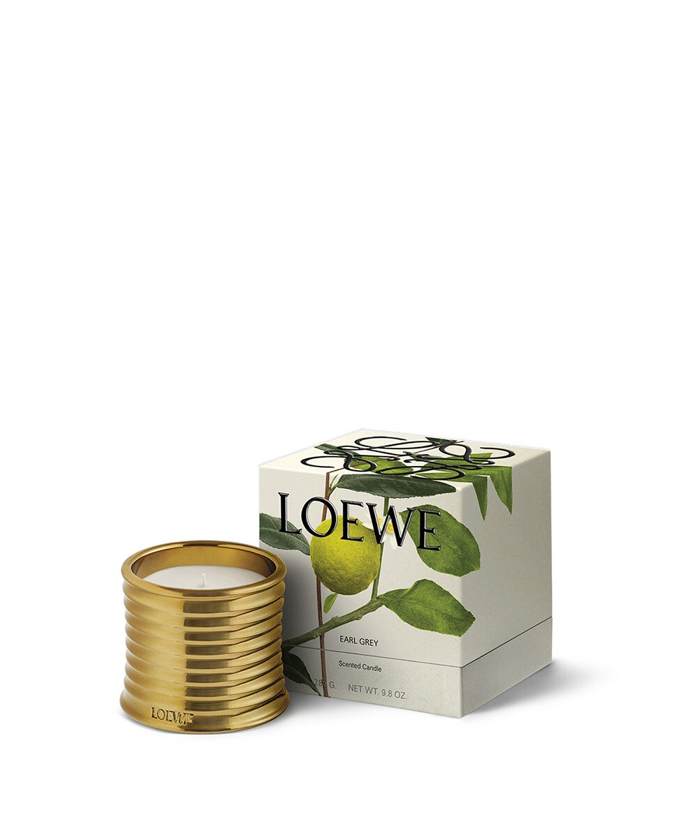 Vela Perfumada Earl Grey Midi 2