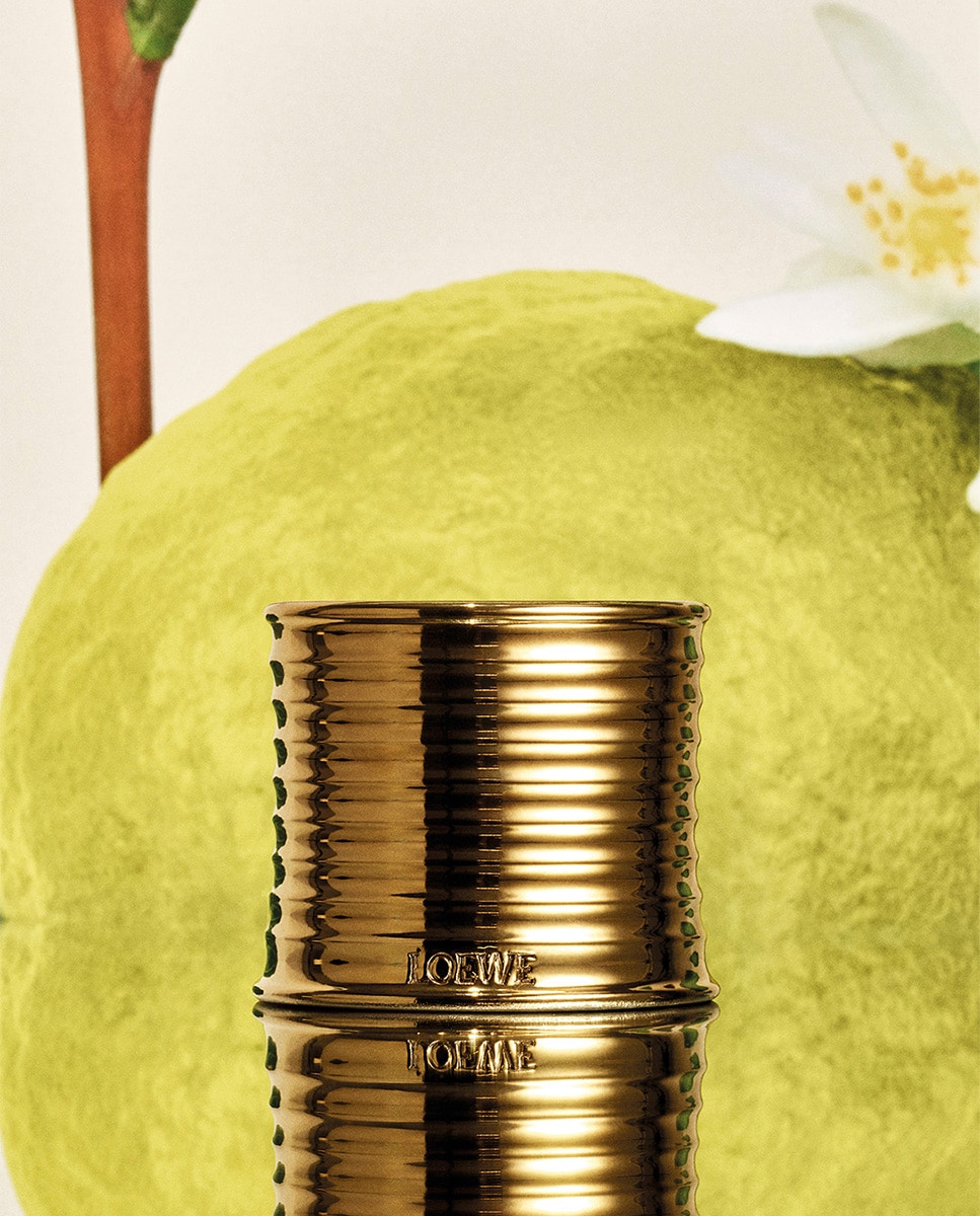 Vela Perfumada Earl Grey Midi 4