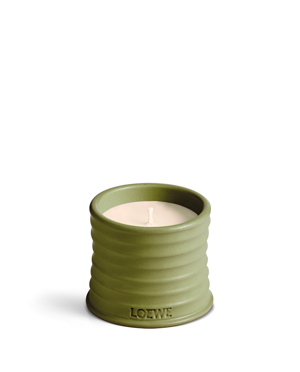 Imagem 0 de Vela Perfumada Pistachio Medium Scented Candle