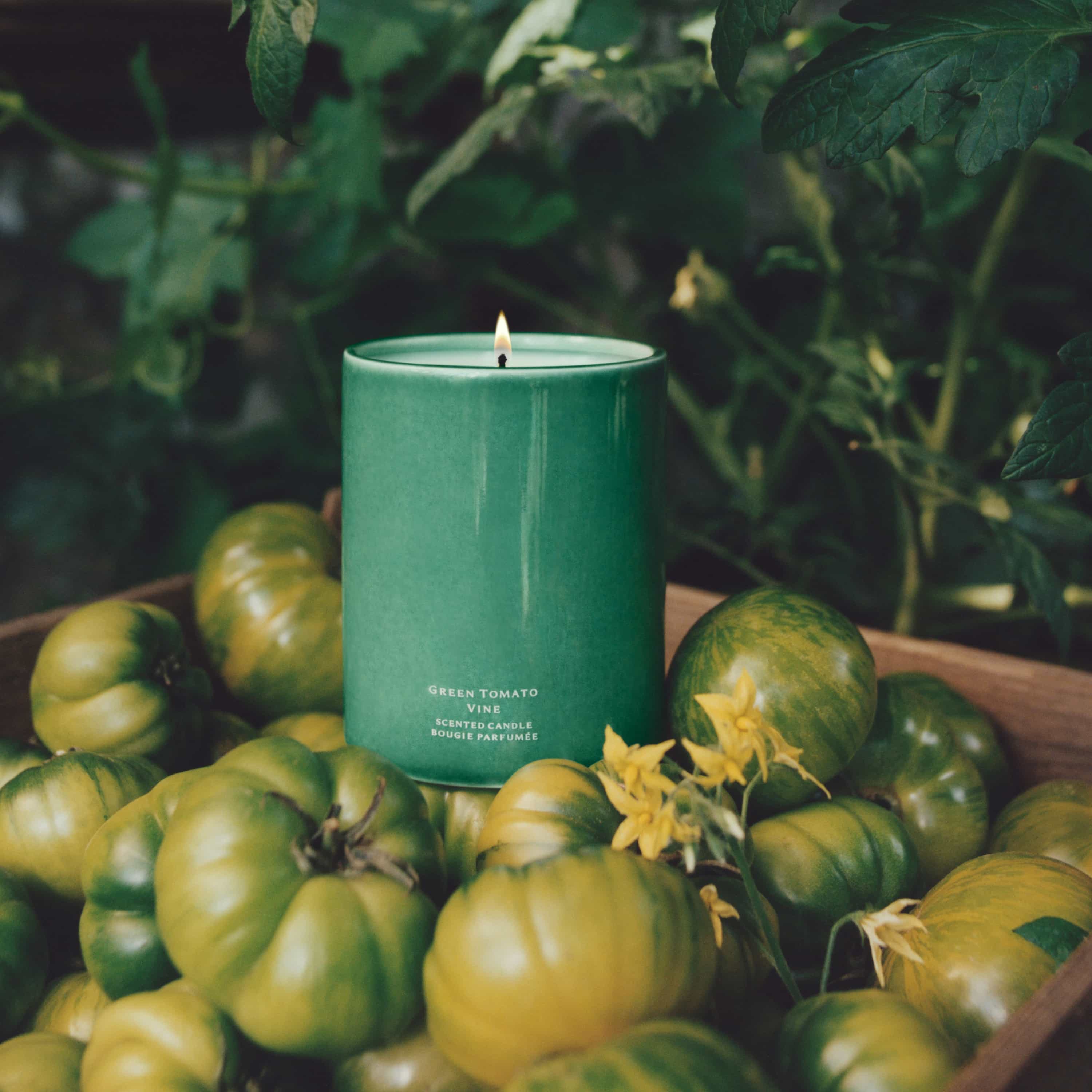 Vela Aromática Green Tomato Vine - Colección Veggies 2