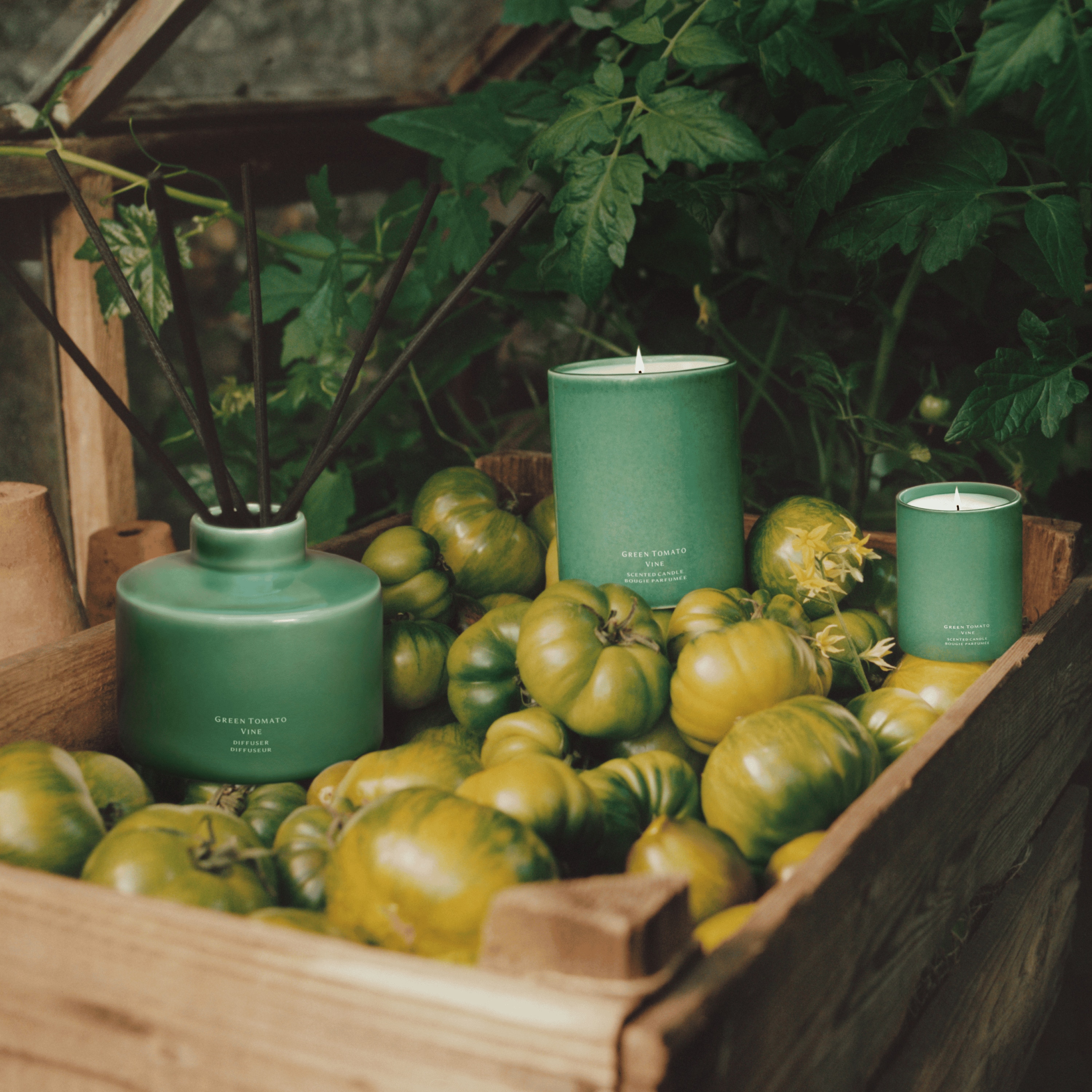 Vela Aromática Green Tomato Vine - Colección Veggies 3