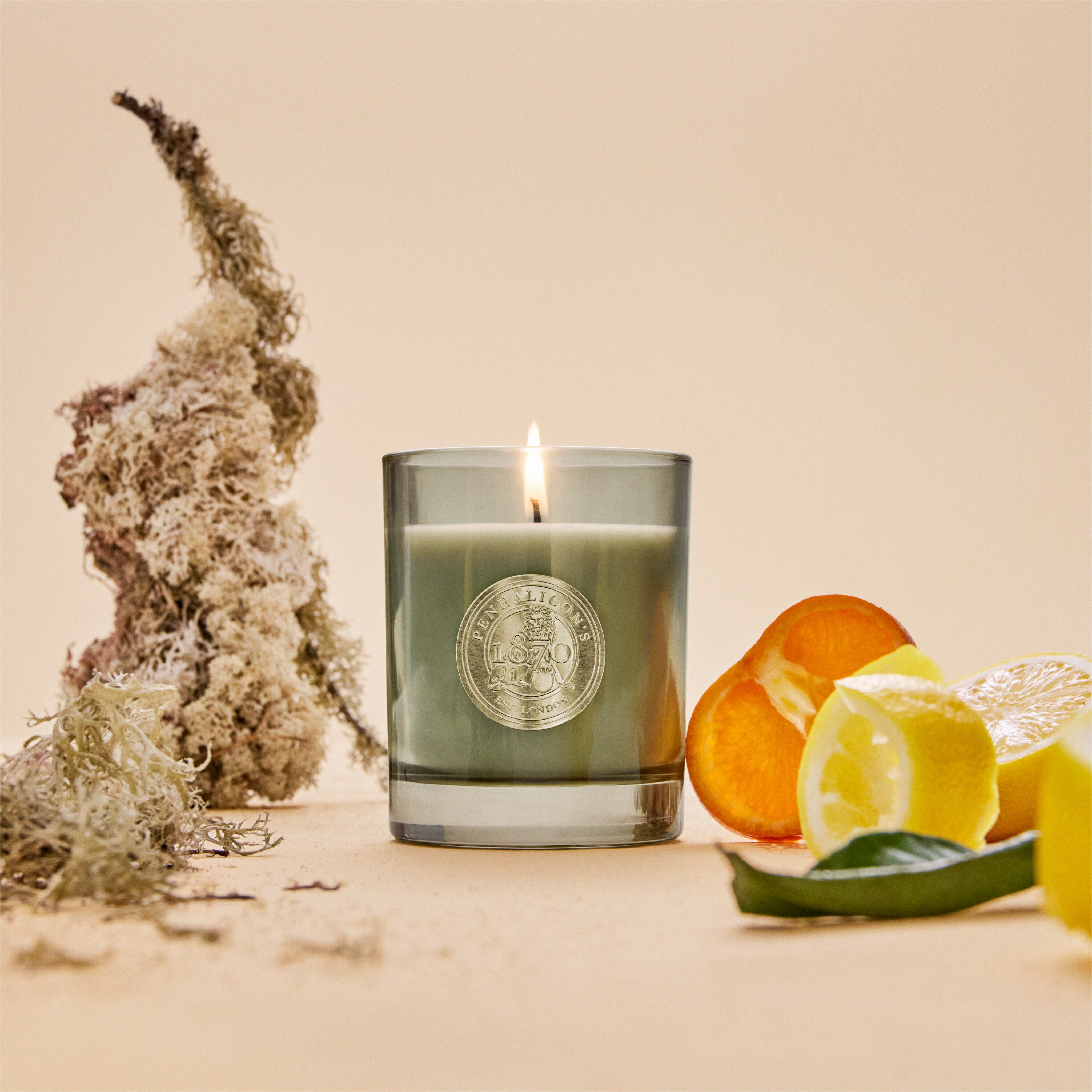 Vela Aromática Quercus 4