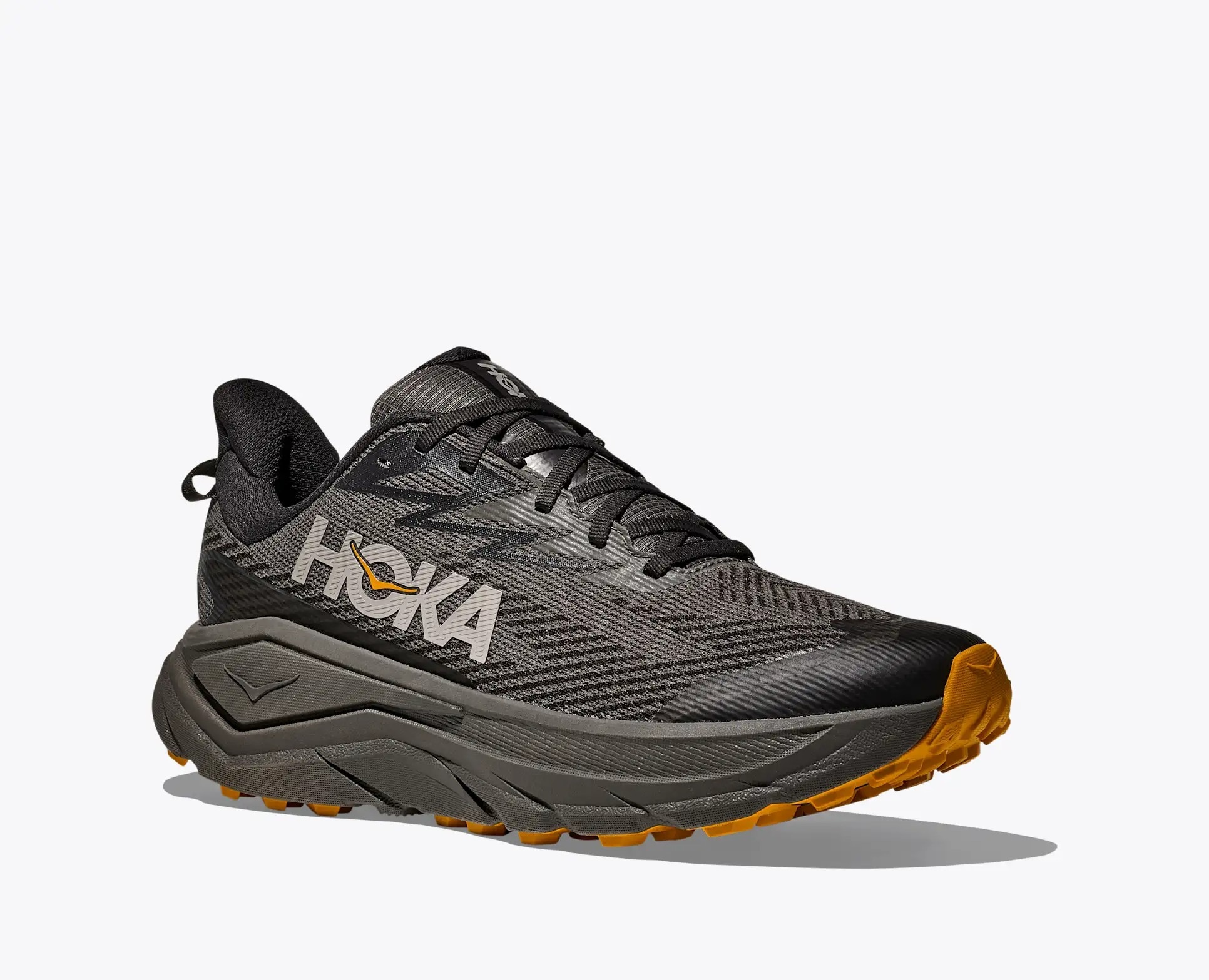 Sapatilha de Trail Running de Homem CHALLENGER 8 GTX Cinzento-2