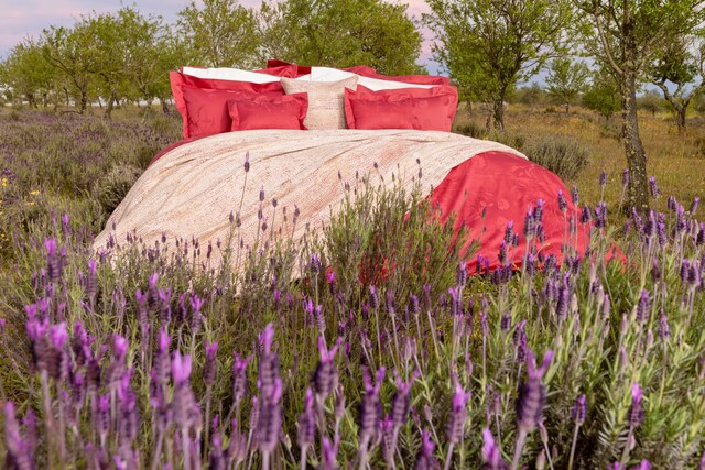 Imagem 0 de Fronha Jardim