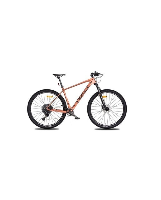 Imagem 0 de Bicicleta de Montanha ADV-0-Carb 2024 - 29''