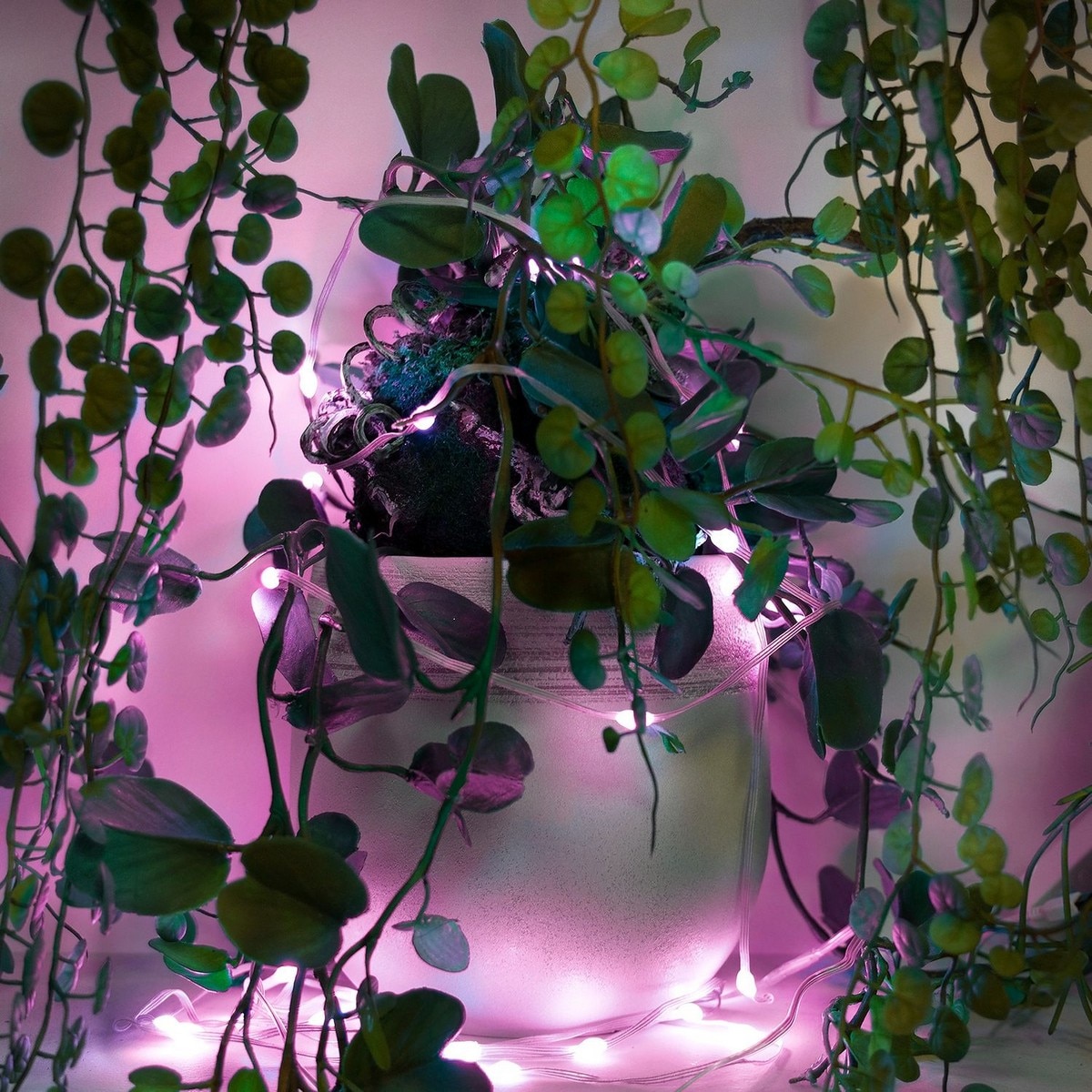 Grinalda Muvit WiFi Dreamcolor Mini LED RGB 5m 2