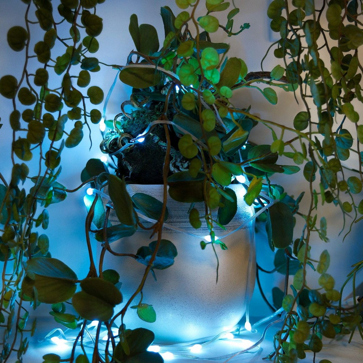 Grinalda Muvit WiFi Dreamcolor Mini LED RGB 5m 3