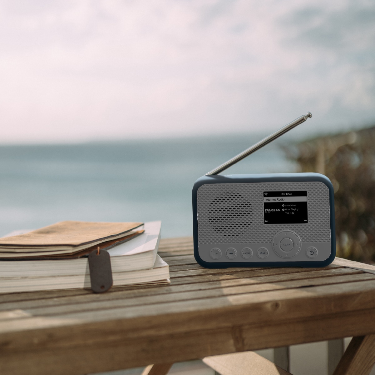 Rádio Digital Portátil Sangean WFR-39 DAB+, FM?RDS, Spotify Connect, Internet, AirMusic Control - Branco e Azul Branco / Azul-8