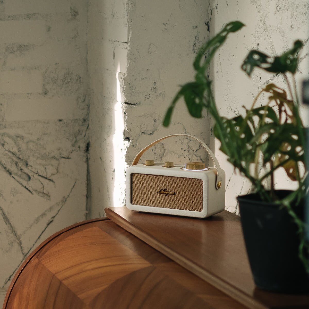 Rádio Portátil Sangean RA-101 com Caixa em Madeira, FM, Bluetooth, TWS, AUX. - Marfim e Dourado Marfim-6