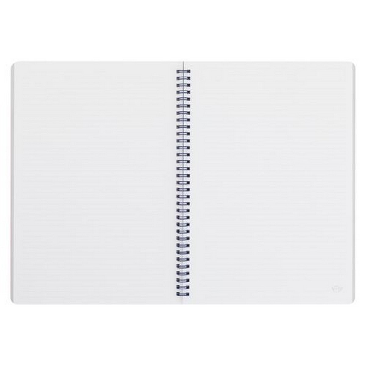 Caderno Quadriculado Espiral Mr Wonderful A4 - O Que Sonho e Aponto, Realizo 2