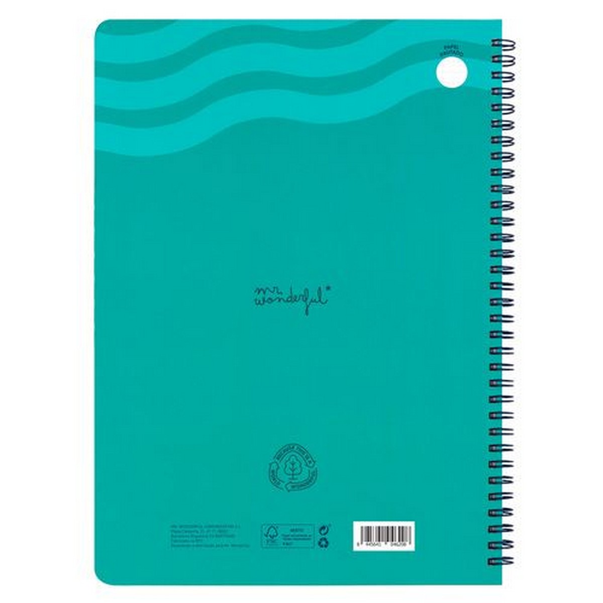 Caderno Quadriculado Espiral Mr Wonderful A4 - O Que Sonho e Aponto, Realizo 4
