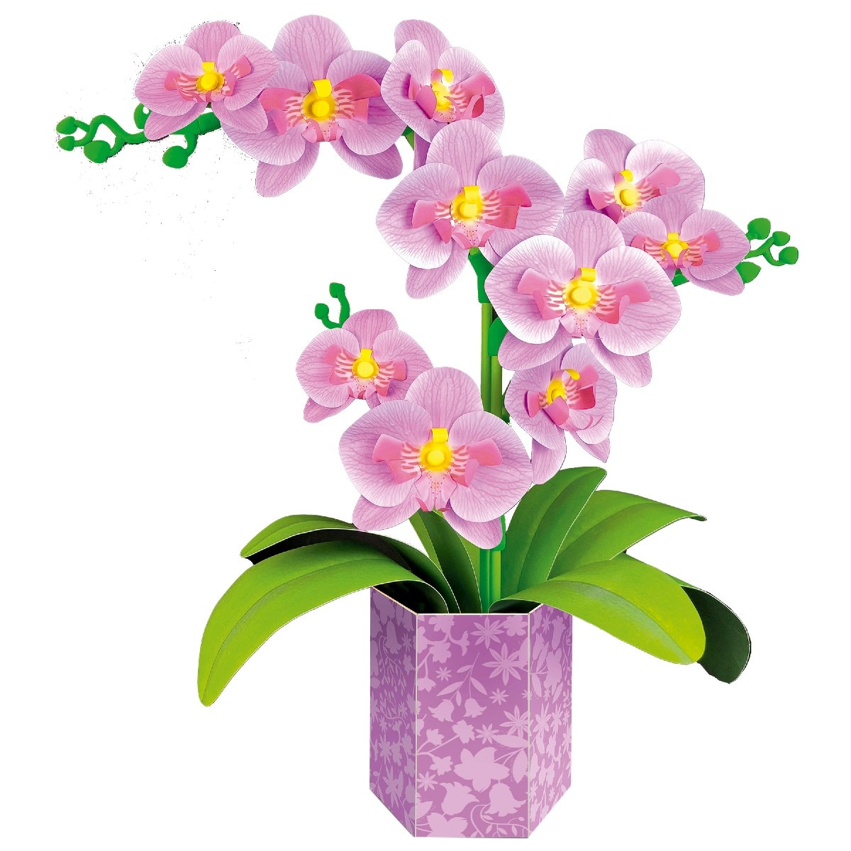 Orquídea Floral Art 2