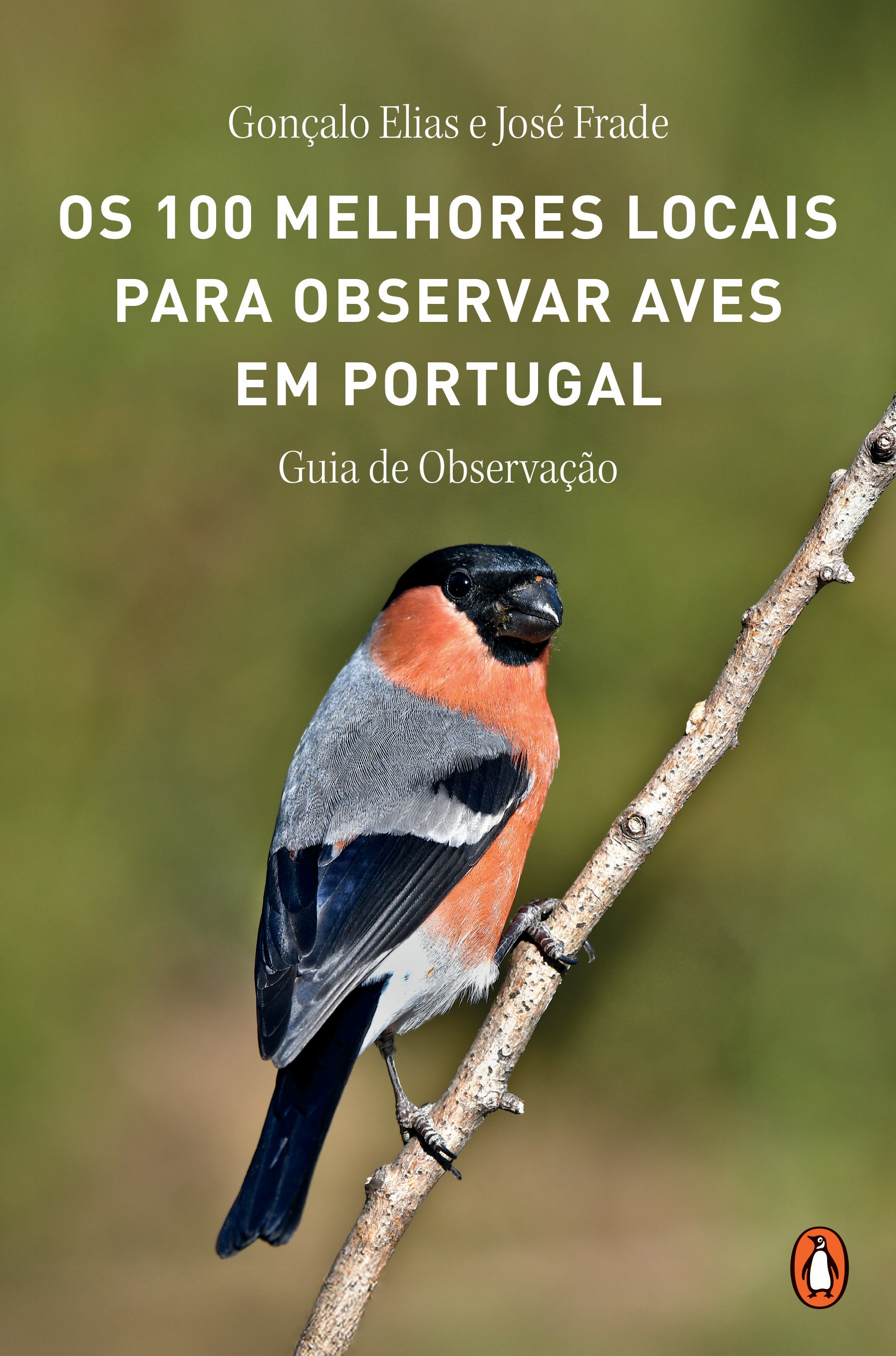 Imagem 0 de Os 100 Melhores Locais para Observar Aves em Portugal