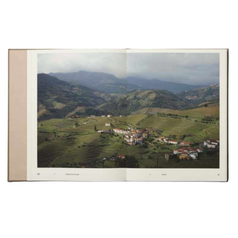 Echoes of land winemakers of portugal 4