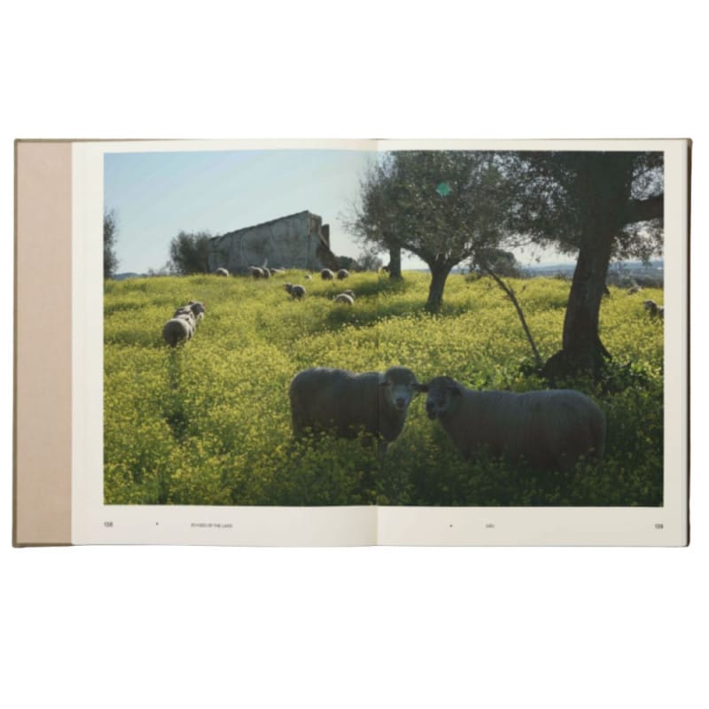 Echoes of land winemakers of portugal 5