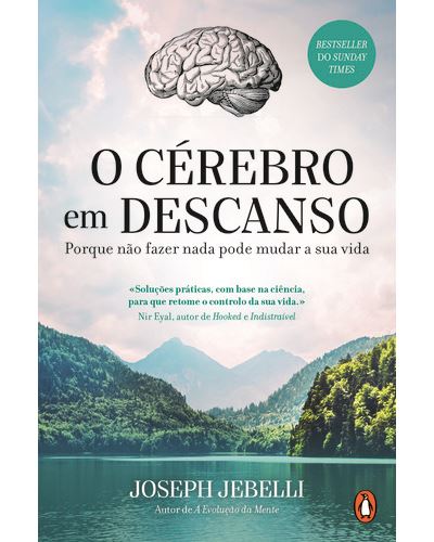 O Cérebro em Descanso 1