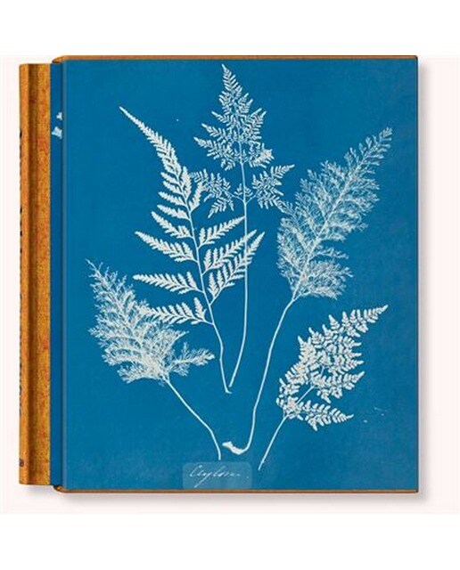 Imagem 0 de Anna Atkins. Cyanotypes (Capa dura)