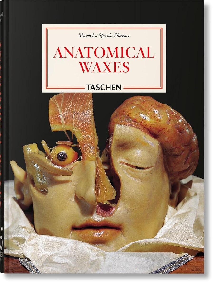 Imagem 0 de Anatomical Waxes. 45th Ed. (Capa dura)