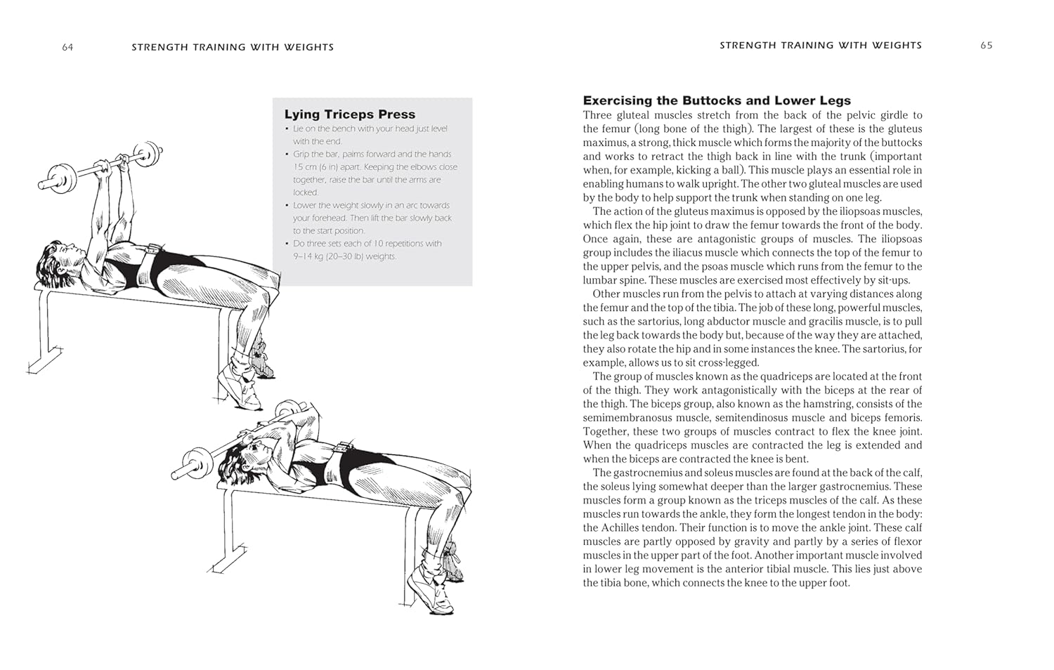 SAS and Special Forces Fitness Training: An Elite Workout Programme for Your Body and Mind (Mini Encyclopedias) 5