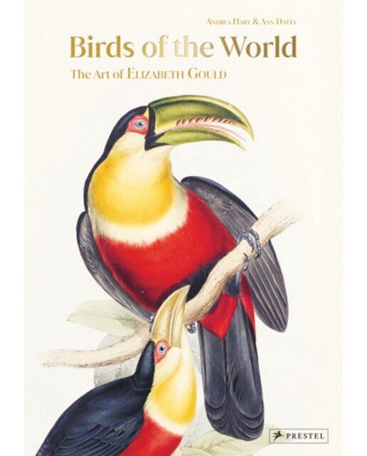 Birds of the world 1
