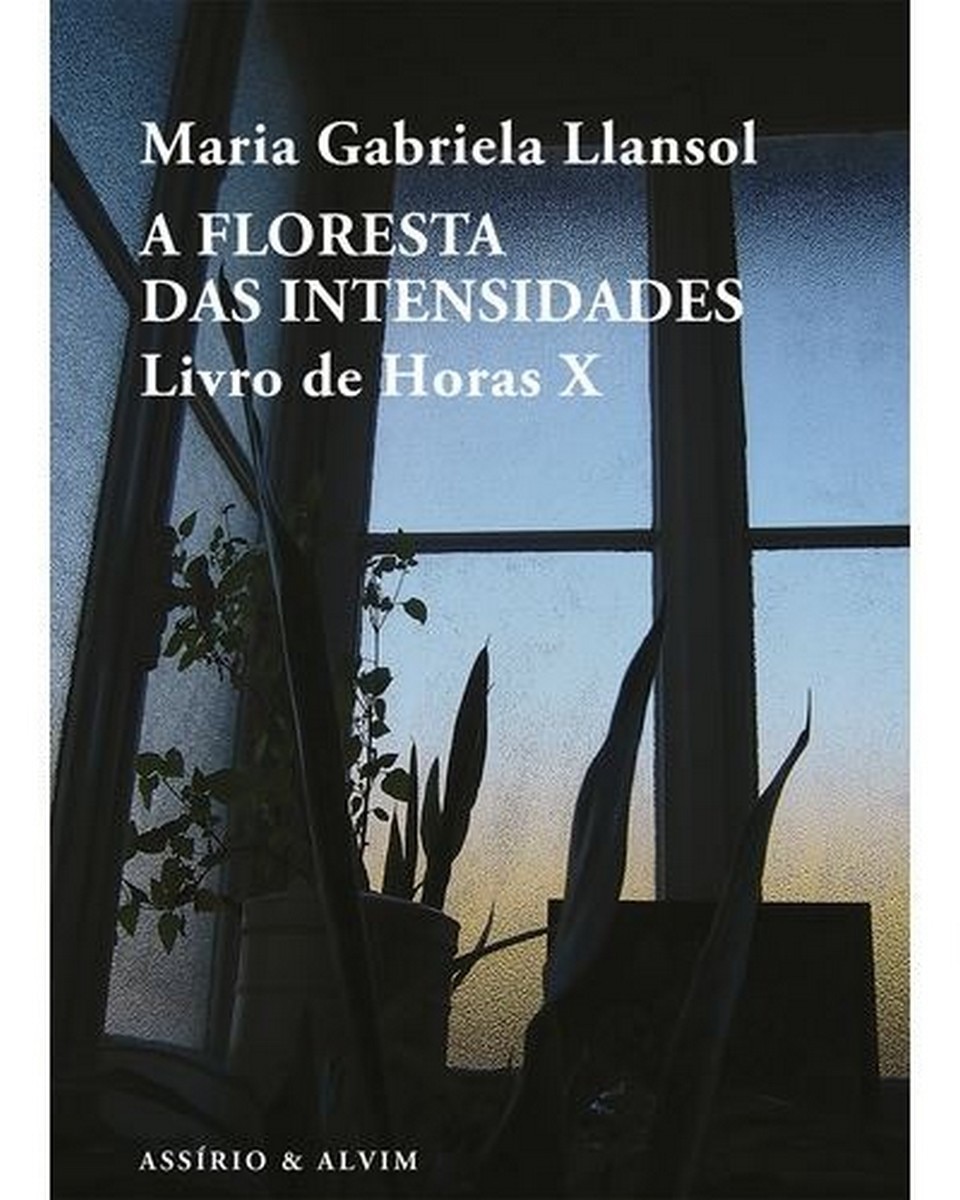 A Floresta das Intensidades - Livro de Horas X 1