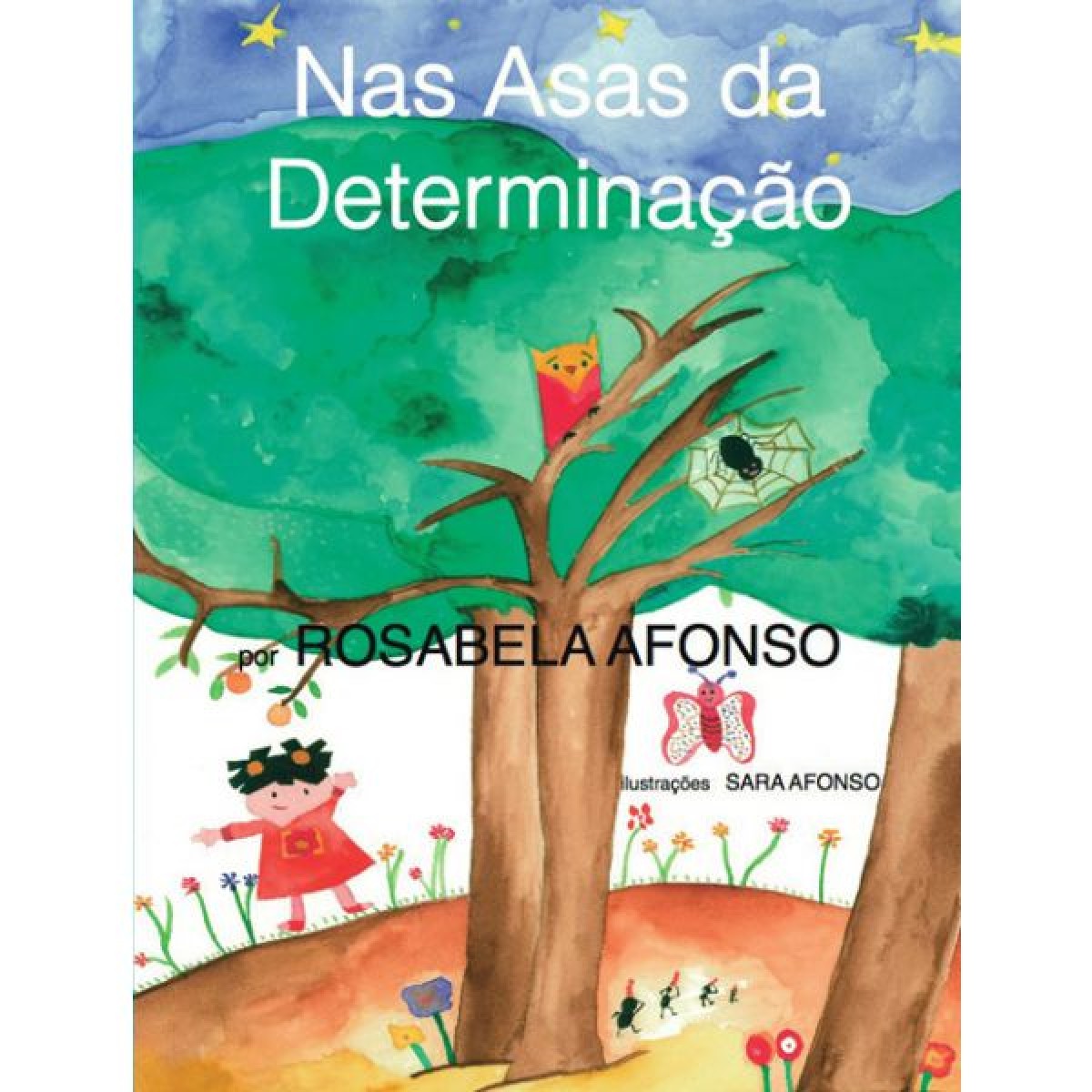 Imagem 0 de Nas Asas da Determinação