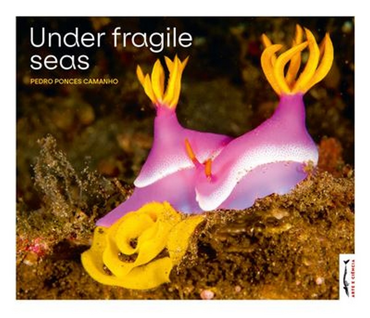 Under fragile seas 1