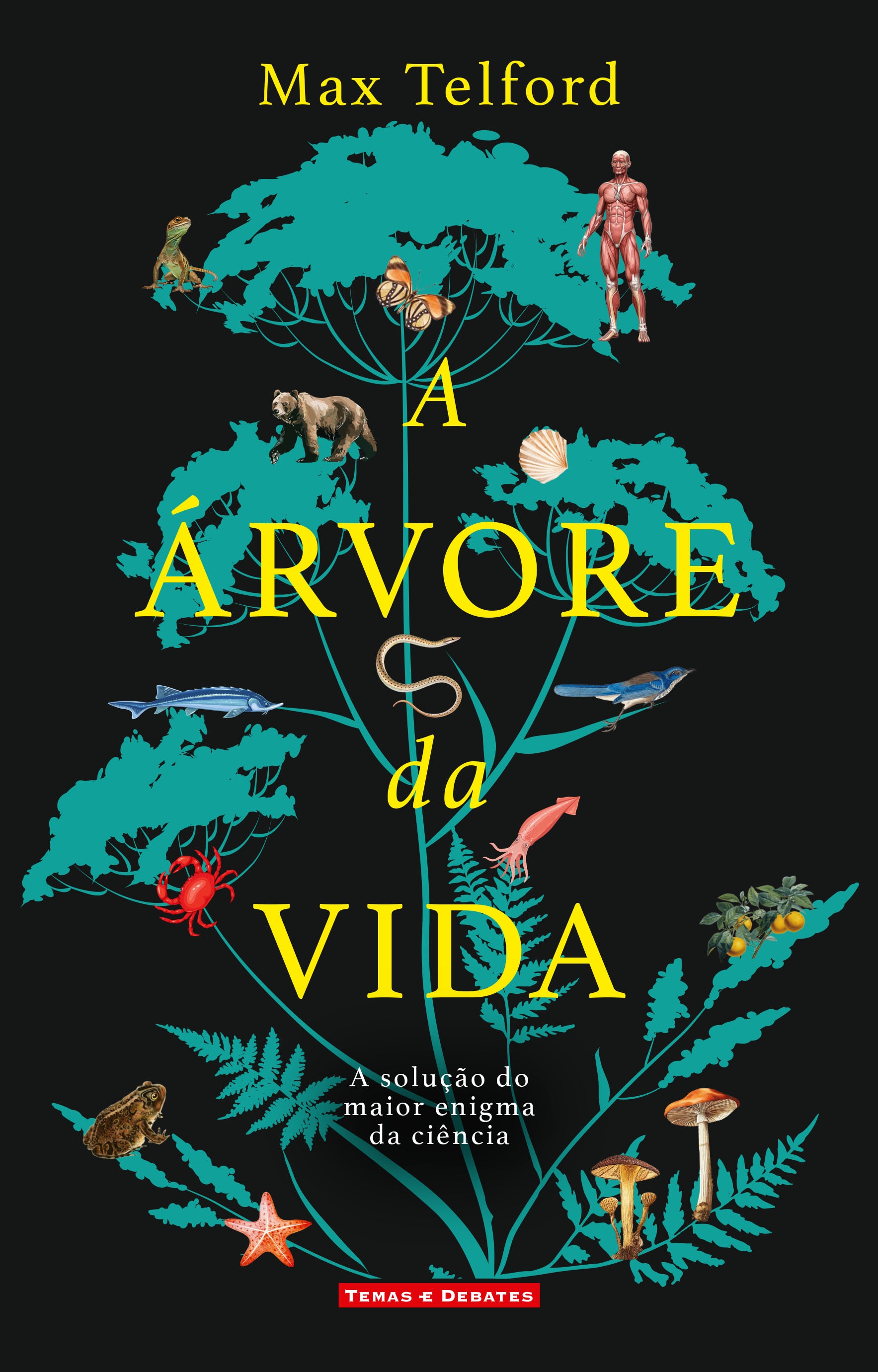 Imagem 0 de A Árvore da Vida