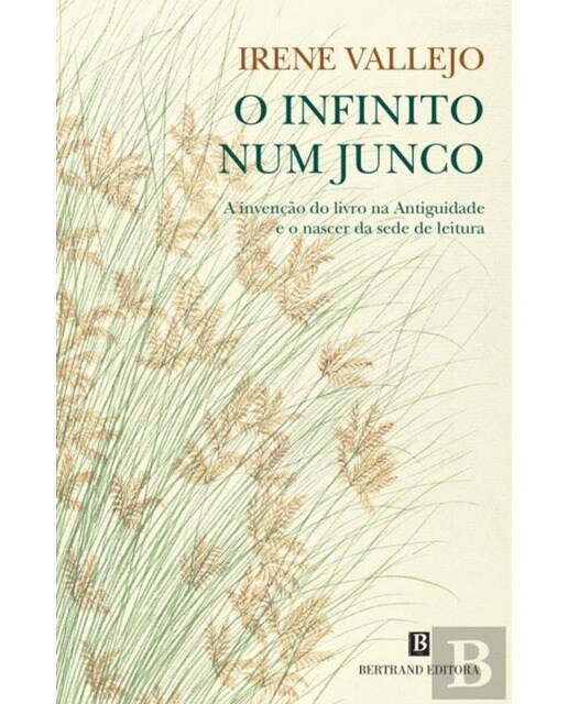 O Infinito num Junco 1