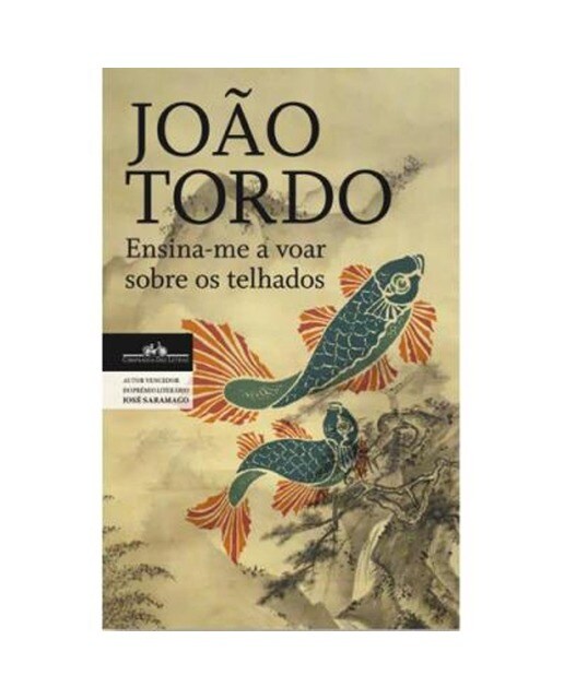 Imagem 0 de Ensina-me a Voar Sobre os Telhados