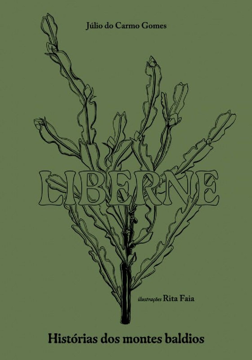 Liberne - Histórias dos Montes Baldios 1