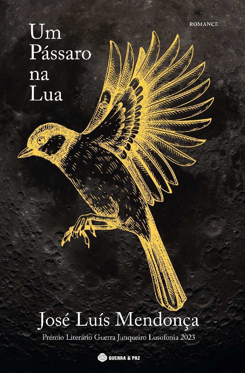 Um Passáro na Lua 1