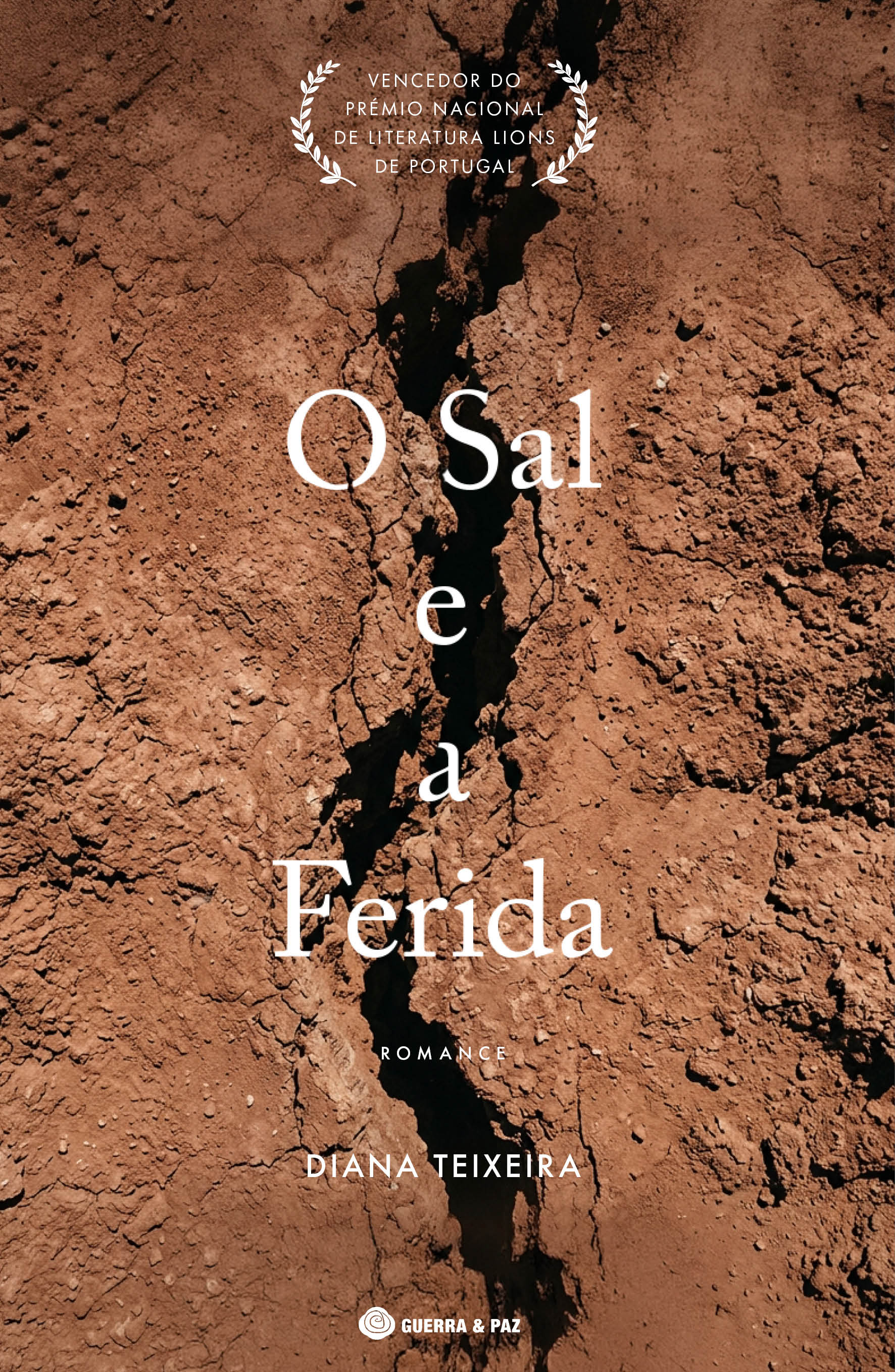 Imagem 0 de O Sal e a Ferida