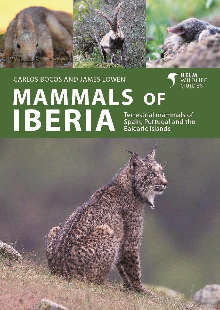 Imagem 0 de Mammals of Iberia