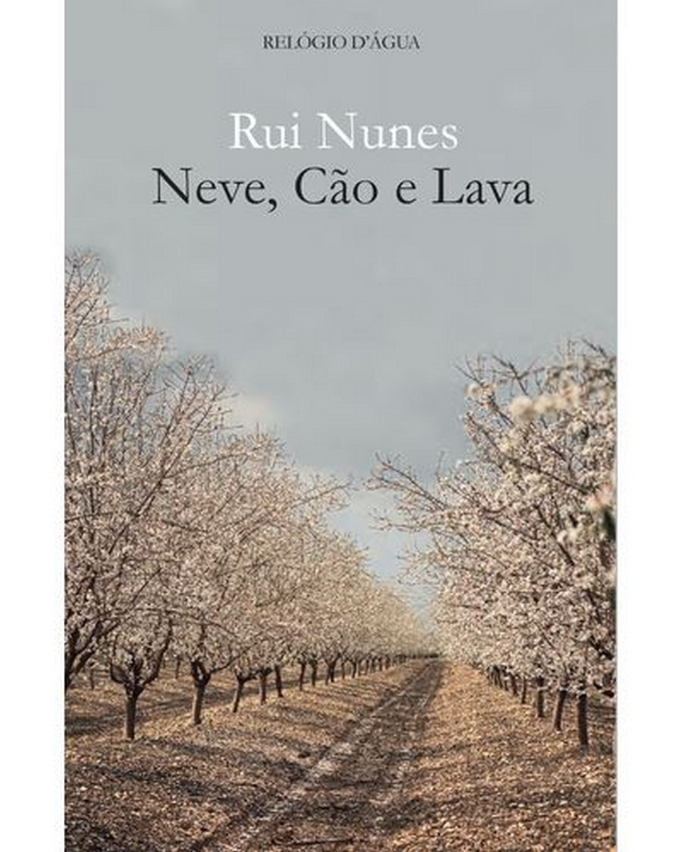 Imagem 0 de Neve cao e lava