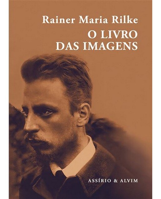 Imagem 0 de O livro das imagens