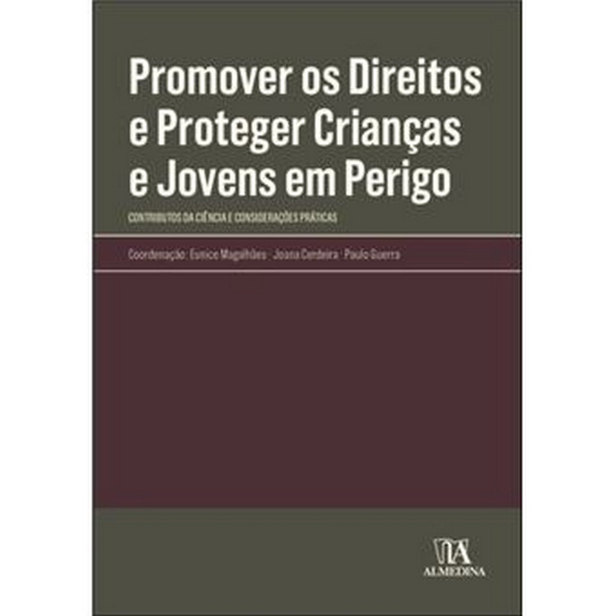Imagem 0 de Promover os Direitos e Proteger Crianças e Jovens em Perigo - Contributos da ciência e considerações práticas