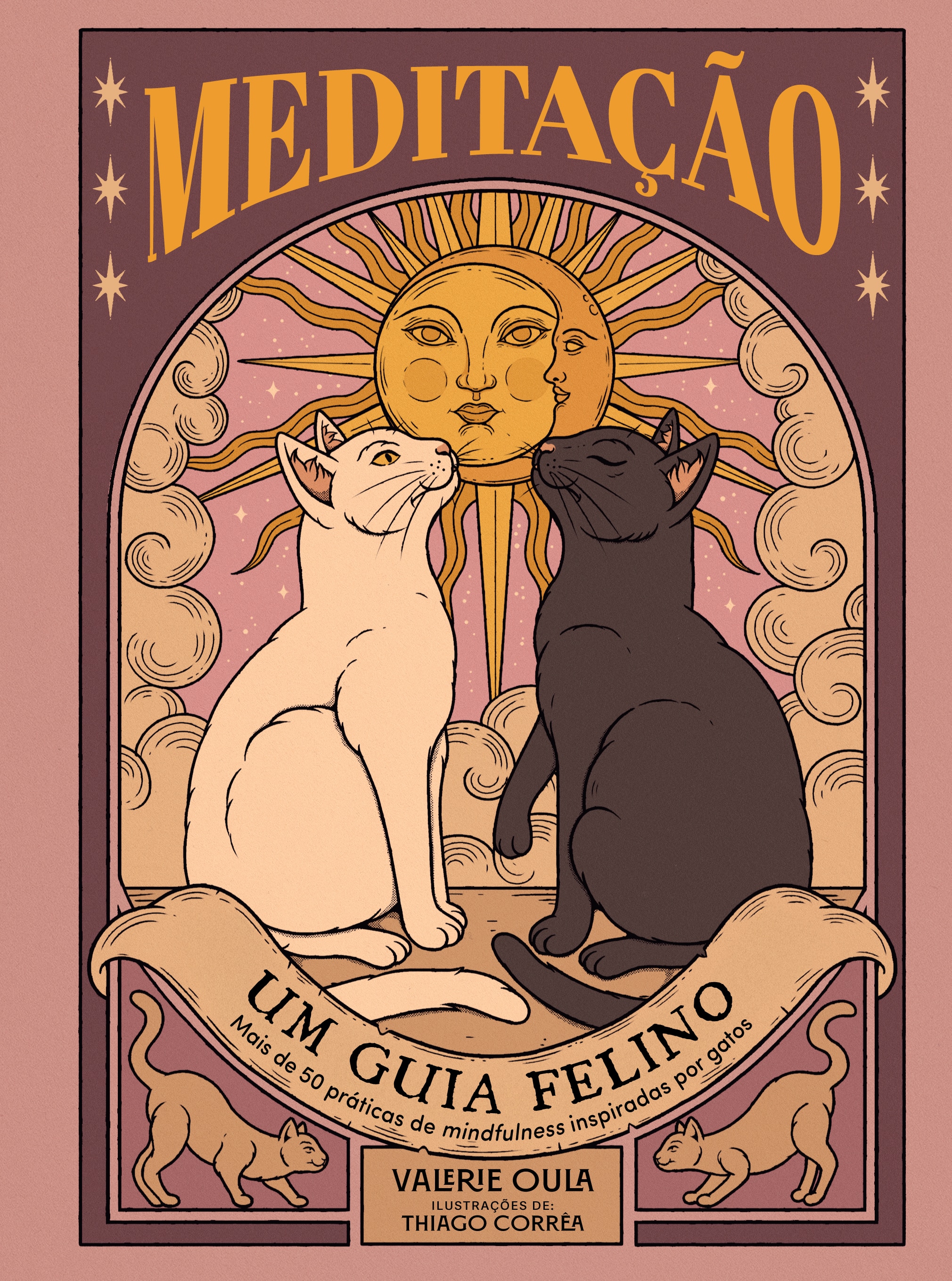 Meditaçao um guia felino 1